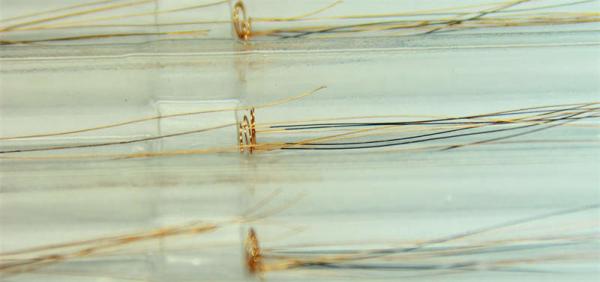 High Precision Nitinol Wire Forming Customized For NiTi Medical Device Parts
