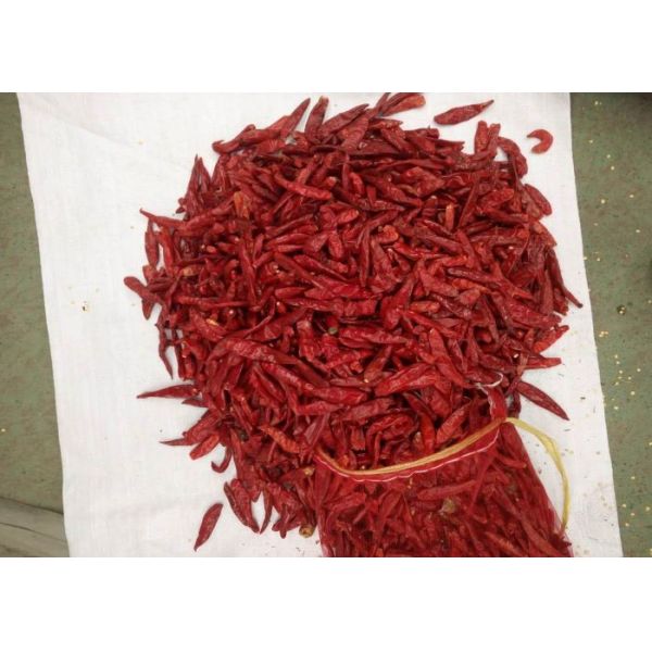 НИКАКИЕ Chiles пигмента пряные высушенные не испаряются простерилизованные стручки Chili для тамале