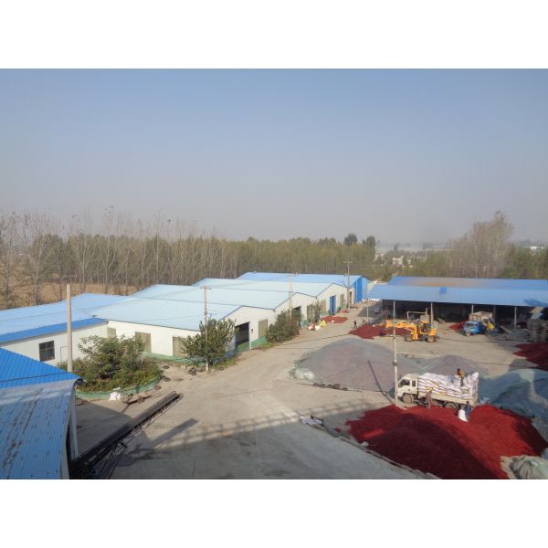20000SHU Dried Chinese Chilis Vacuume Packing Spicy Chaotian / Tianjin Chilli