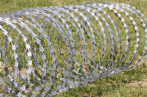 Cheap galvanized stainless steel fence fence anti climbing thorn safety protection razor thorn wire mesh support customization