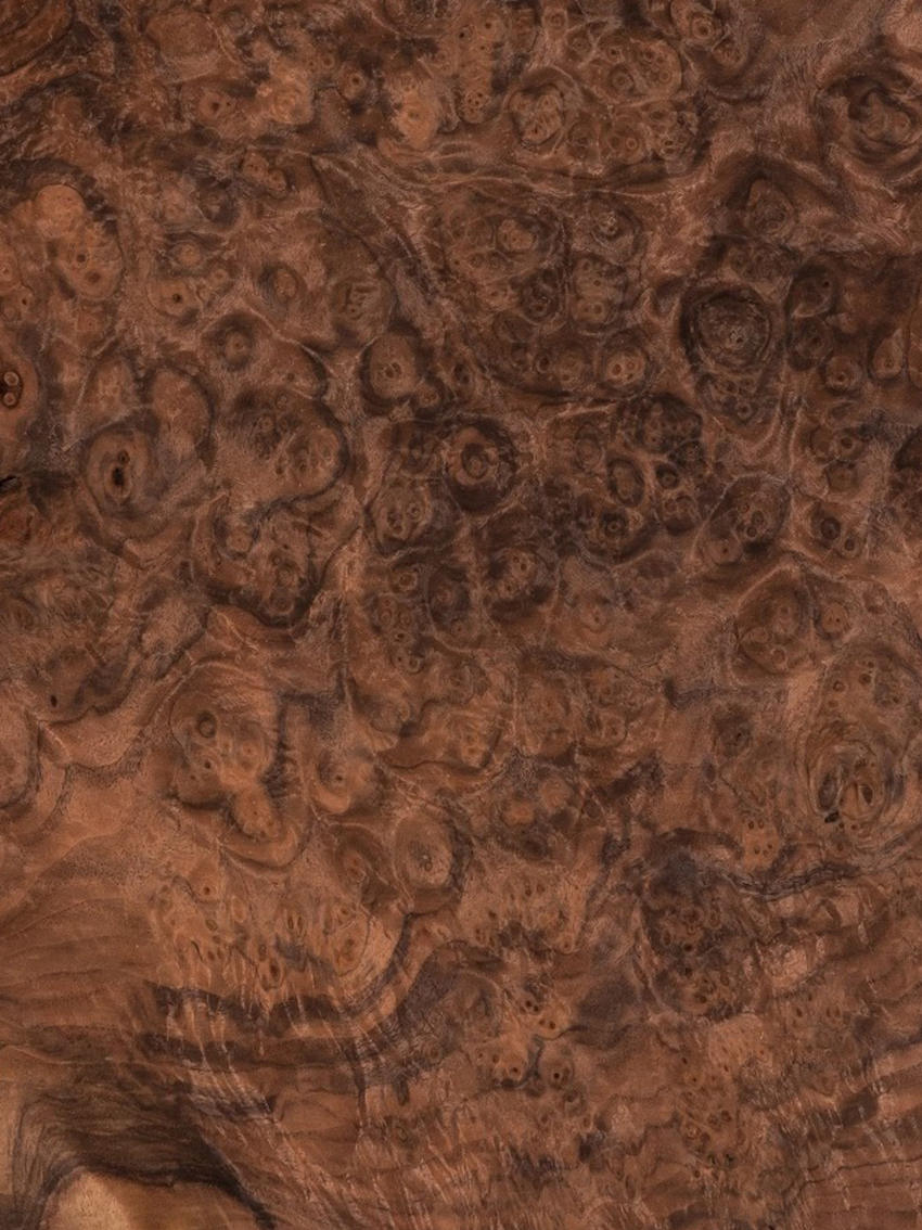 America Black Walnut Natural Wood Veneer Straight Sliced For Fancy Panel Furniture And Flooring In 0.18-0.55mm Thickness