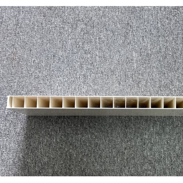 Electroplating Polishing Treatment 3CR17 UPVC Hollow Panel Mold for Door and Wall Panel