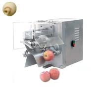 Commercial Electric Apple Peeler Corer Slicer 110V/220V 304 Stainless Steel