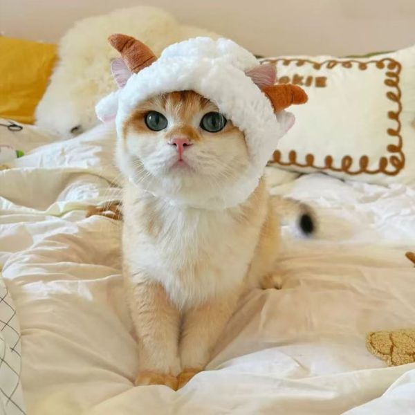 Cute Cat Clothing Thick Plush Four Legged Pet Faux Lamb Fur Clothing