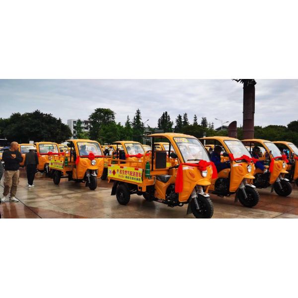 151 200cc Displacement 3 Wheel Gasoline Engine Motorized Petrol Cargo Tricycles for Adults