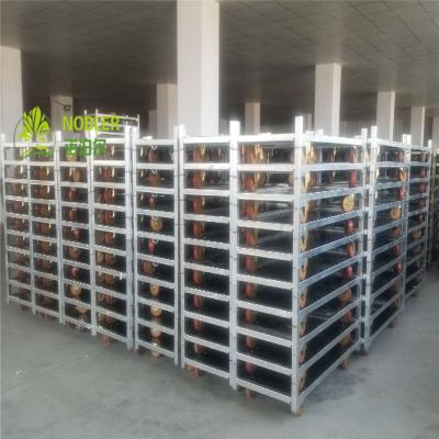 trole dinamarquês revestido da flor do pó da compra 100kg/Shelf