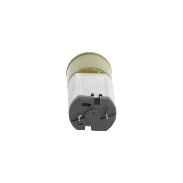High Quality Mini Slow Speed Motor DC Spur Gear Motor Model FT-16RGM030 for Home Appliance