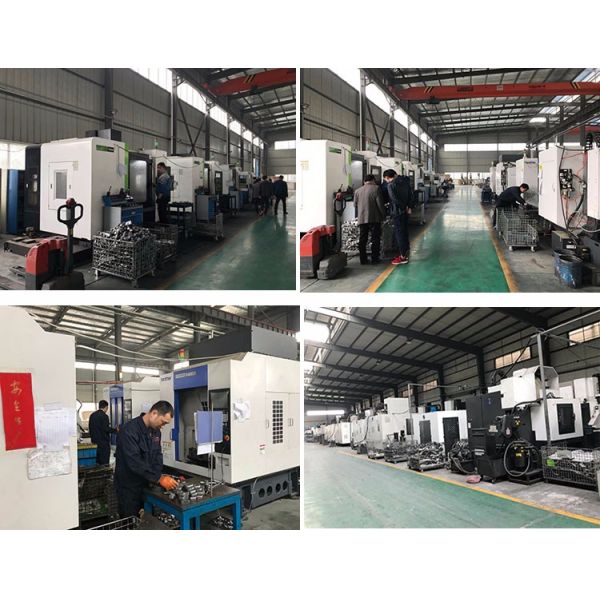 Professional Forged Steel Rings Stainless Steel Oem With Large Diameter