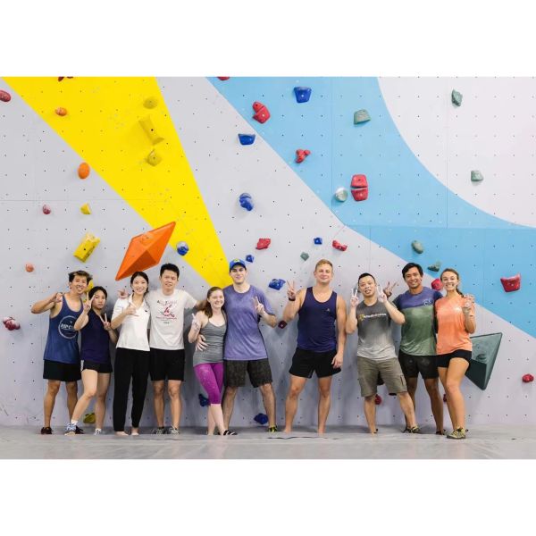 Скалолазание Eco дружелюбное держит для панели детей крытой на открытом воздухе