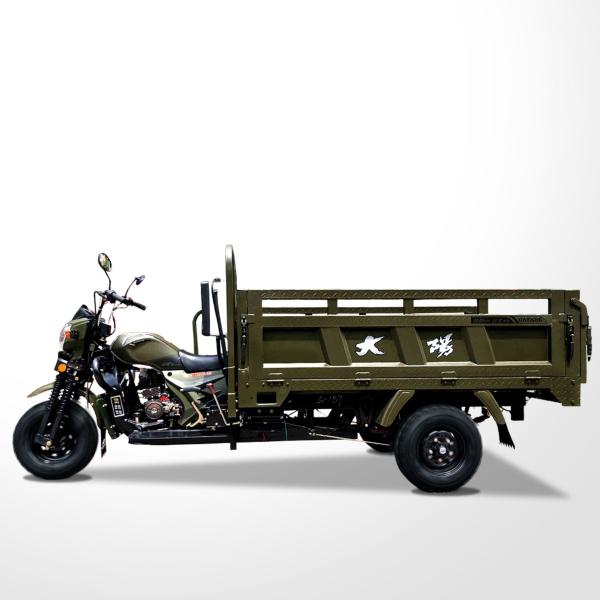 DAYANG 5.0-12 Tire Size Motorized Tricycle for Food Delivery in Tanzania Market