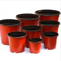 Les polymères dégradables boursouflent de petits pots de fleur en plastique pour l'usine