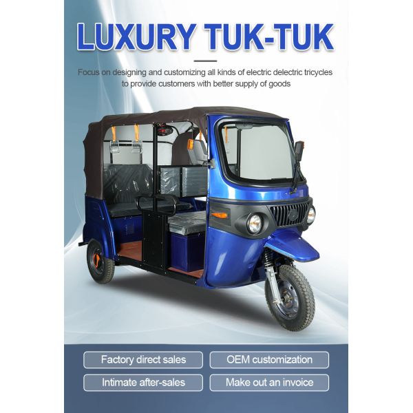 3000W Electric Passenger Tricycle Tuk Tuk Fast Charging 2 Seater E Rickshaw OEM