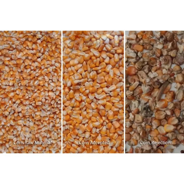 Hons+ High Capacity 3.0 KW White Corn Sorting machine  4.0~7.0 Tons New Design