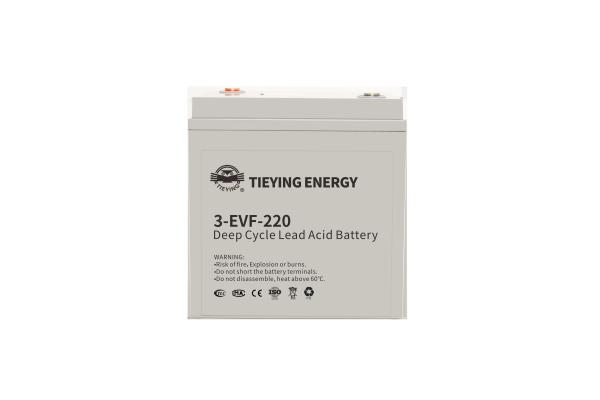 Golf Car Storage Non Spillable Lead Acid Battery 3-EVF-220 34+-0.5kg