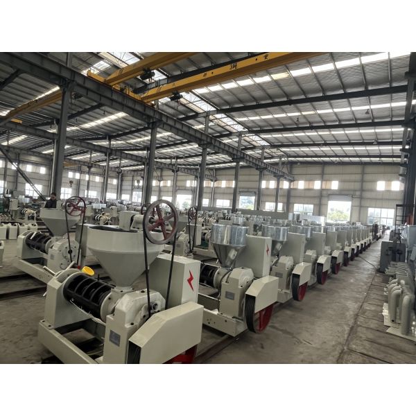 Peanut Oil Press Cooking Oil Extraction Machine Mustardseeds Cold Press Oil Mill