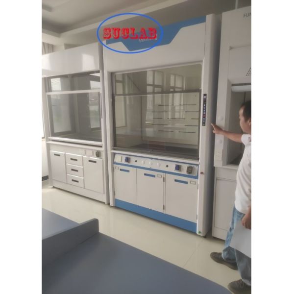 100m3/h Airflow Lab Fume Hood Supply Manual/Automatic Control System for Laboratory Safety