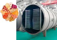 Máquina de secagem por congelamento industrial controlada por PLC