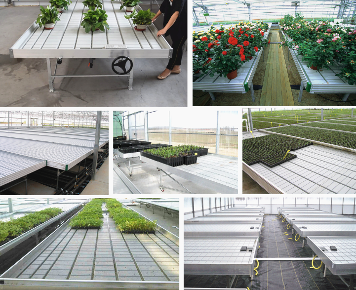 Agricultural 4*8ft ABS Plastic Hydroponic Flood Tray Growing Racks