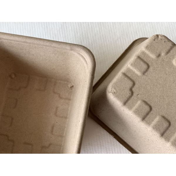 Водоустойчивая сухая пресса отлила контейнеры в форму плода волокна упаковывая 100% Recyclable