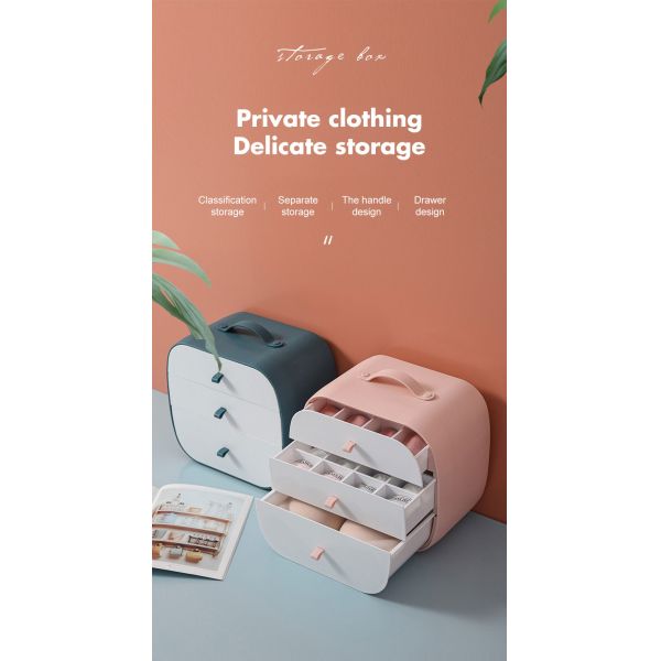 Convenient Storage Solution Dust-Proof Plastic Storage Box for Underwear and Socks