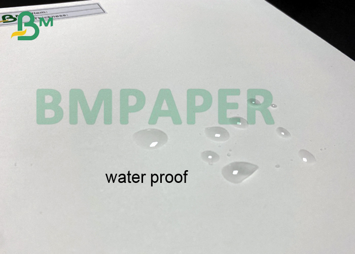 pe coated paper 240 + 15g Cupstock покрытое PE основали бумажную доску для чашек закуски плошек для супа