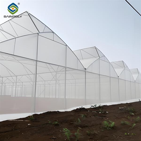 Indoor Multi Span Plastic Film Gothic Arch Greenhouse With PC Sheet