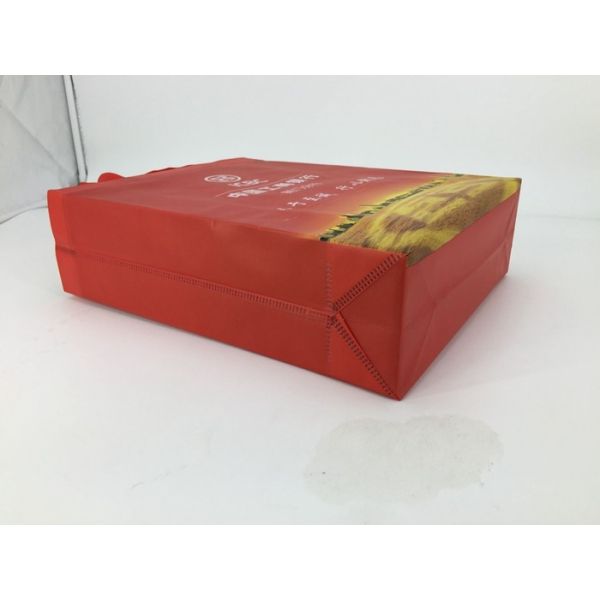 Manufacturer custom logo color printing non woven bags with handle/100gsm