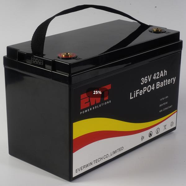 Black Portable 36V 42AH LifePo4 Battery Pack For Power Supply Chargeable and Long-Lasting