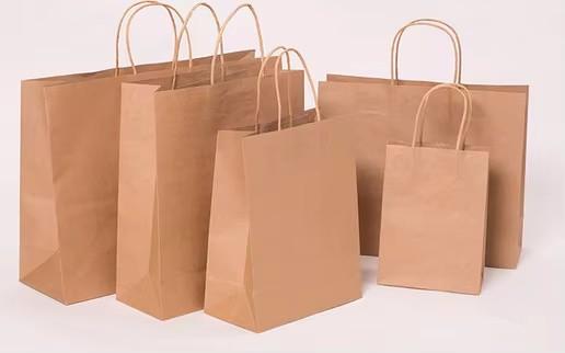 Custom Logo Shopping Kraft Paper Bag With Handle Holiday Christmas Gift Paper Bag
