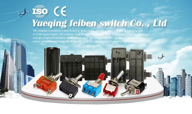 Yueqing Feiben Electronic Switch Factory