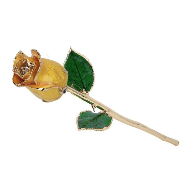 High Quality Gold Trimmed Rose Preserved Flower Beautiful Handmade Gifts for Woman