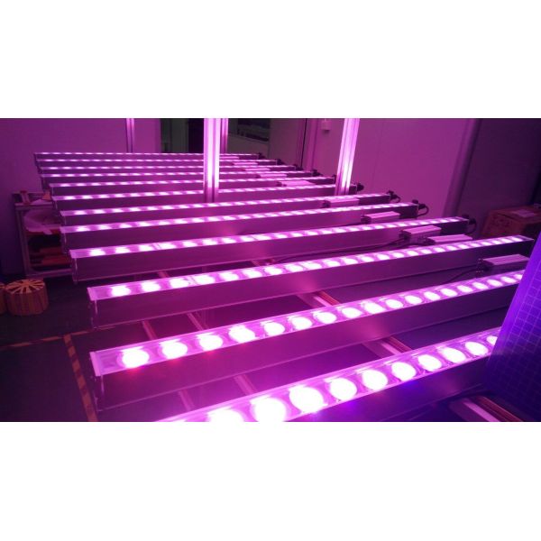 120W LED Plant Grow Light Epistar / Bridgelux LED Chip 1200*50*50mm Dimension