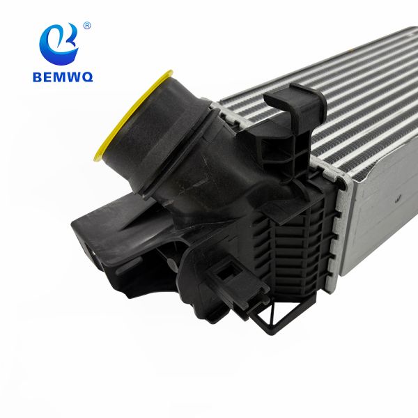 17517617598 BMW Engine Intercooler For B48 2-SERIES F45 1-SERIES F52 X1 F49