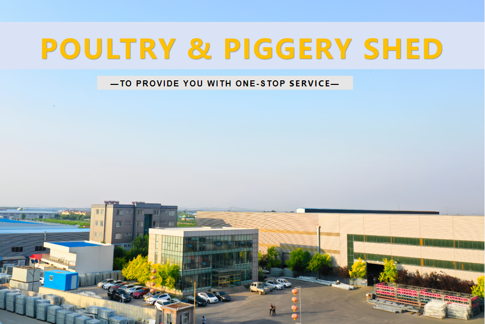 Prefabricated Steel Poultry Shed Long Span Steel Livestock Buildings