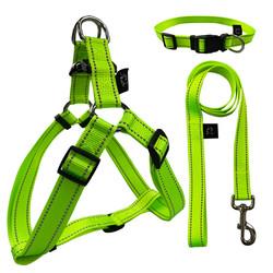 Trela retrátil do cão do verde luxuoso feito sob encomenda de Logo Dog Harness Lead Set