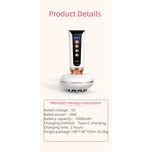 20 Gear EMS Microcurrent Electric Meridian Brush Infrared Heating Vibration Therapy Massage Device