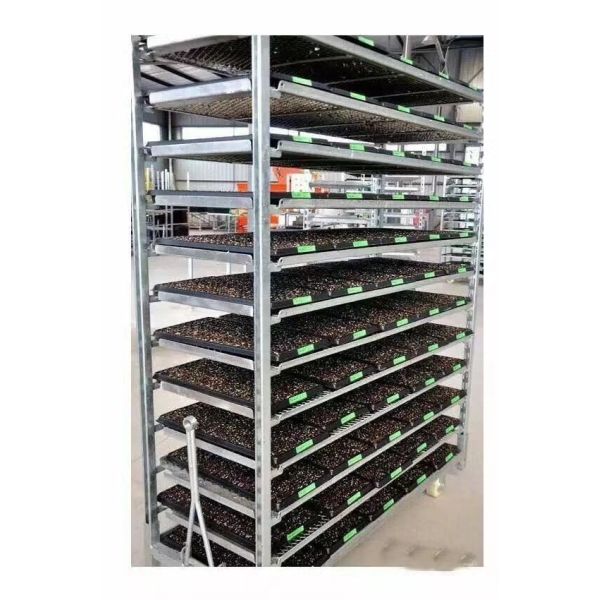 Empuje holandés de la carretilla de la flor de la rueda de goma y plegamiento material de la madera contrachapada de tracción