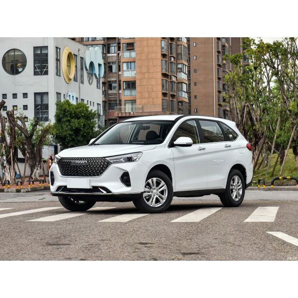 HAVAL M6 1.5T SUV Front Window Electric One key lifting Anti-pinch for 's 2023 Market