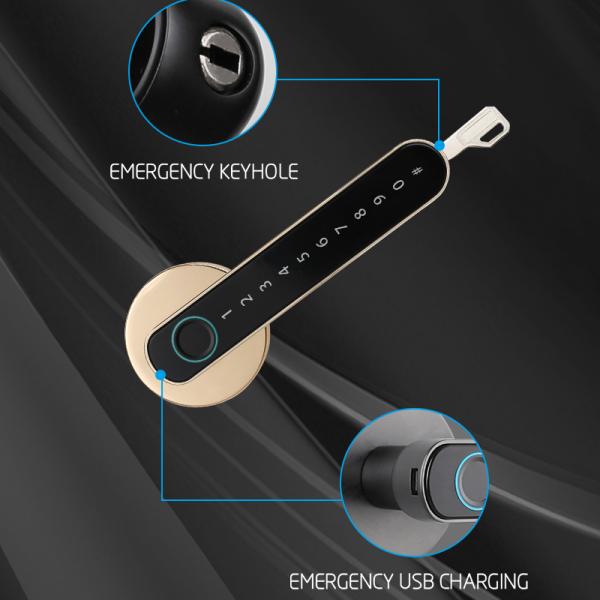 Qleung S604L Smart Fingerprint Door Lock With Wifi Tuya App Control Keyless Password For Bedroom Tuya Home