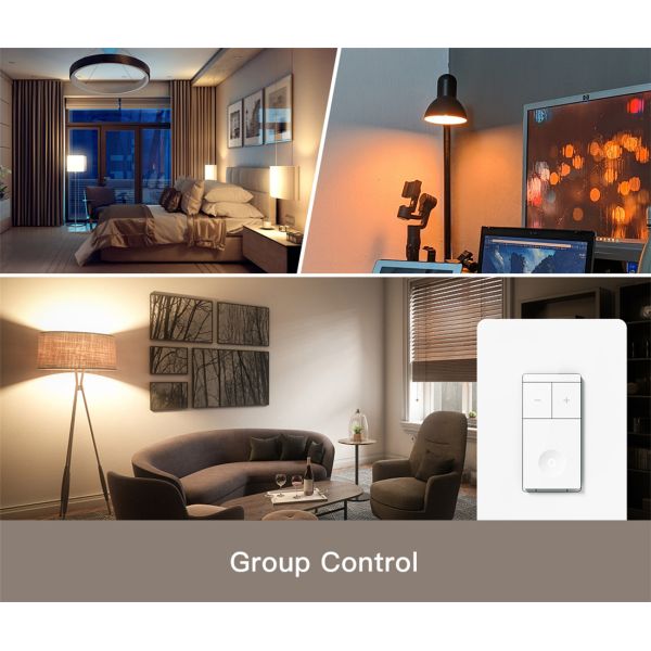 Smart Dimmer Switch