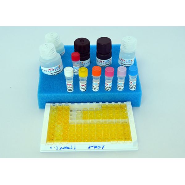 High Recovery Rate Estrogen ELISA Kit / Diazepam ELISA Testing Kit