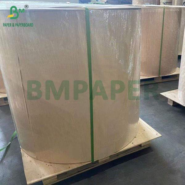 Double-Sided Matte Inkjet Paper Rolls - Premium Coated Media 108g - 220g