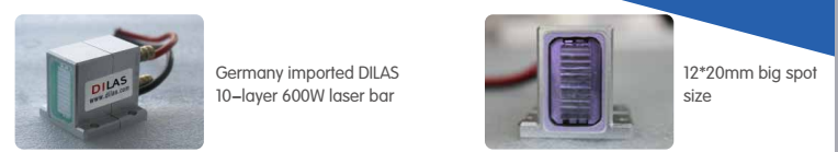 Tamaño grande del punto 12 * 20 milímetros máquina del retiro del pelo del laser del diodo 808nm para el cuerpo entero