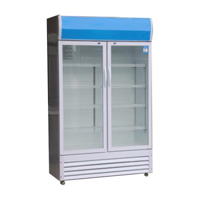 6.2A Glass Door Commercial Freezer R290 GAS Merchandising Refrigerator