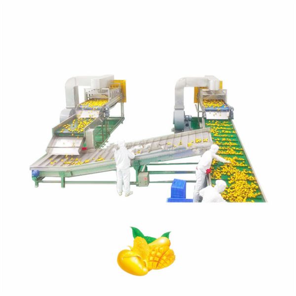 2000KG Seedless Mango Juice Processing Plant Automatic 75kw