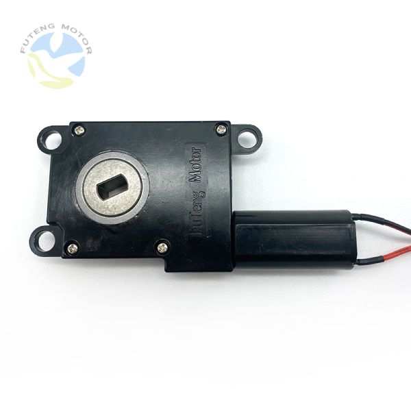 FT-63SGM190 China Factory 3-24V DC Micro Motor Electric Worm Gear Motors Smart Door Lock Motors
