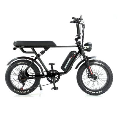 Aventura ao ar livre 20*4.0 Kenda Fat Tire Double Disc Brake Mountain Bike para Adolescentes