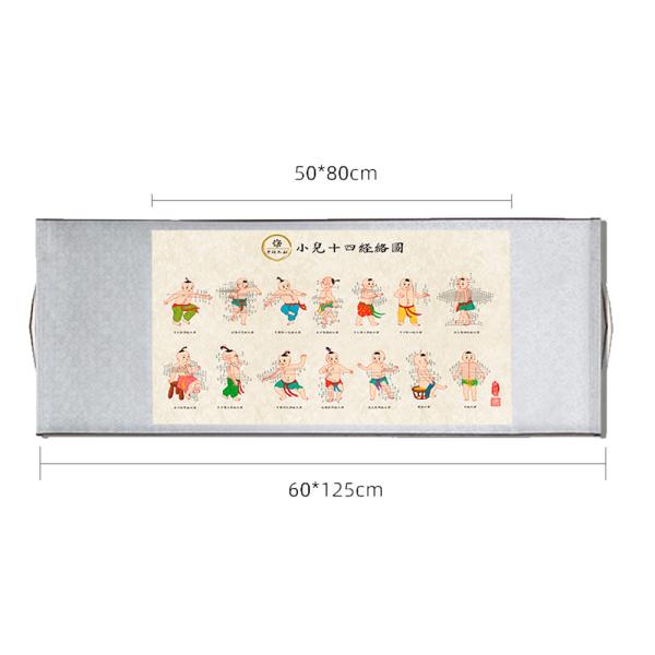 0.4 Diameter Acupuncture Culture Categories Teaching Supplies for Therapeutic Treatment