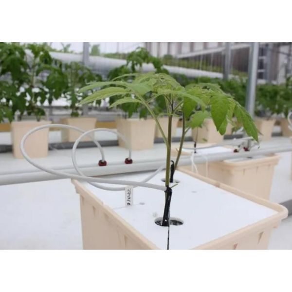 Теплица для судоходных контейнеров для гидропонного вертикального земледелия в коммерческой промышленности