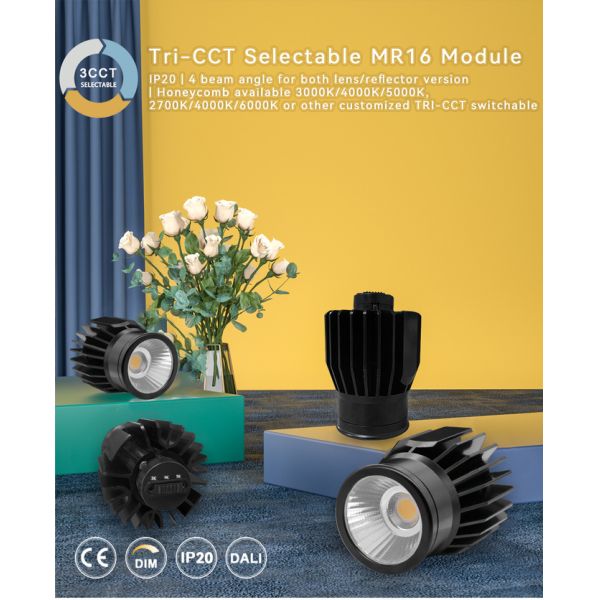 15W COB LED Tri-CCT MR16 Module 3000K/4000K/5000K Or 2700K/4000K/6000K Customizable